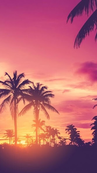 Play Sunset HD Wallpapers 
