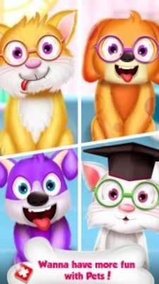 Play Super Pet Hospital 