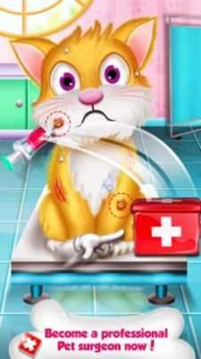 Play Super Pet Hospital 