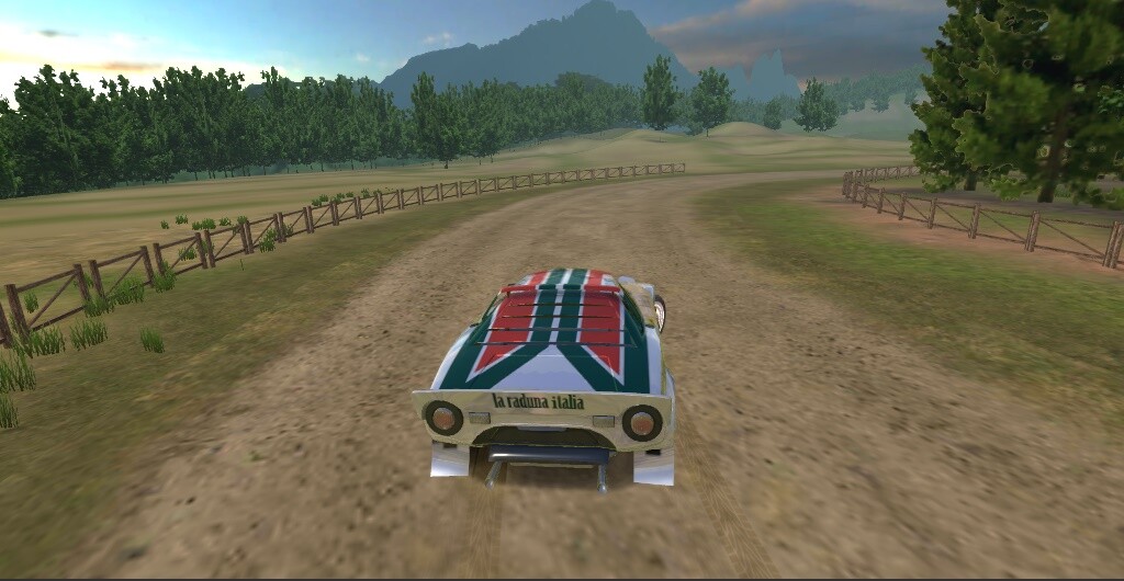 Play Super Rally 3D 