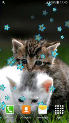 Play Sweet Kittens Live Wallpapers 