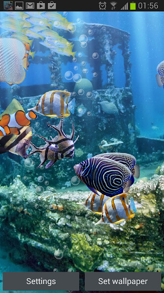 Play The real aquarium - LWP Play The real aquarium - LWP