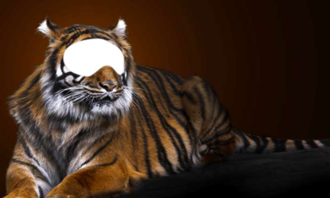 Play Tiger And Lion Photo Montage 