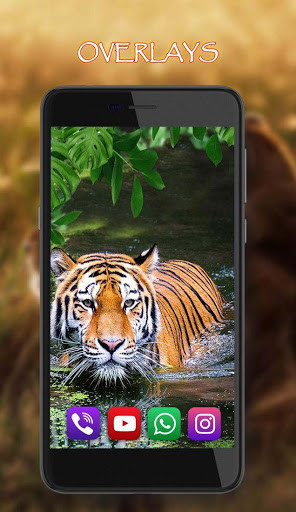 Play APK Tigers Live Wallpaper  and enjoy Tigers Live Wallpaper with UptoPlay com.TigerLiveWallpaperHD