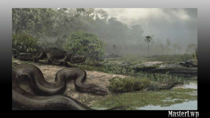Play Titanoboa Wallpaper 