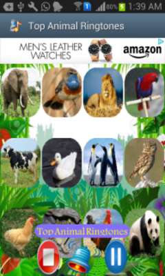Play Top Animal Ringtones 