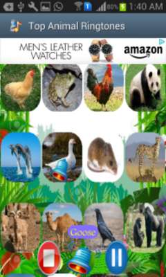 Play Top Animal Ringtones 