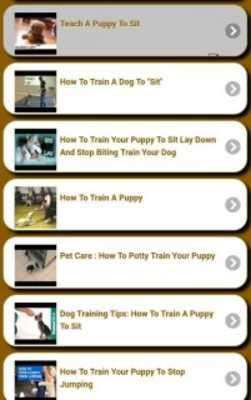 Play Training a Puppy 