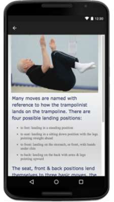 Play Trampolining 