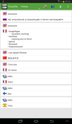 Play TransZilla Pro Translator 