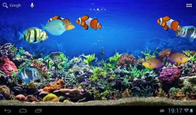 Play Tropical fishes aquarium 