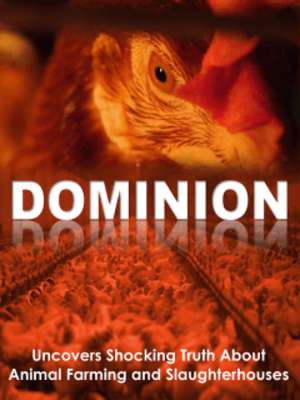 Play Vegan Lifestyle Magazine 