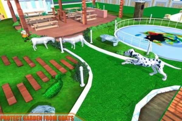 Play Virtual Dog Home Security 