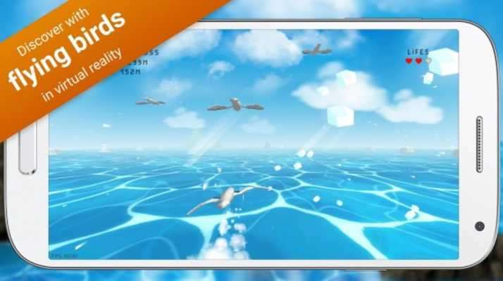 Play VR Flying Bird - VR games Play VR Flying Bird - VR games