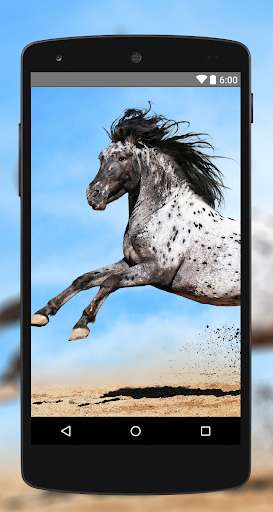 Play APK Wallpapers Horse 4K UHD  and enjoy Wallpapers Horse 4K UHD with UptoPlay com.ppapps.horserwallpapers