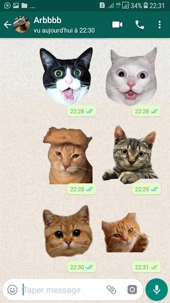 Play WAStickerApps Cat Stickers 