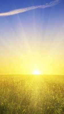 Play Weather New York Sun Play Weather New York Sun