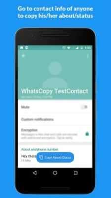 Play WhatsCopy - Copy message, caption and status 