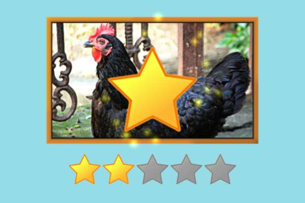 Play Which Animal Is That? 