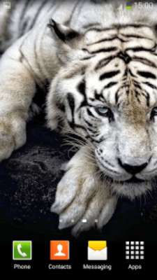 Play White Tiger Live Wallpaper 