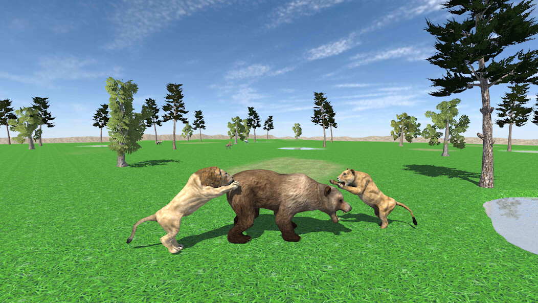 Play Wild Bear Attack Simulator 3D 