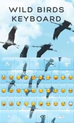 Play Wild Birds Keyboard 