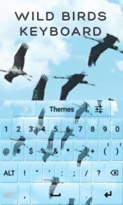 Play Wild Birds Keyboard 