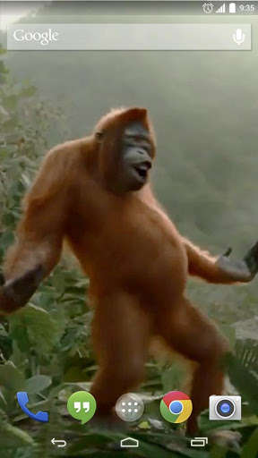 Play APK Wild Dance Crazy Monkey LWP  and enjoy Wild Dance Crazy Monkey LWP with UptoPlay wilddancecrazy.lwchanel.com