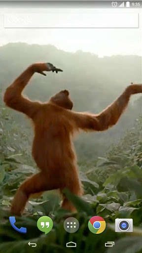 Play APK Wild Dance Crazy Monkey LWP  and enjoy Wild Dance Crazy Monkey LWP with UptoPlay wilddancecrazy.lwchanel.com