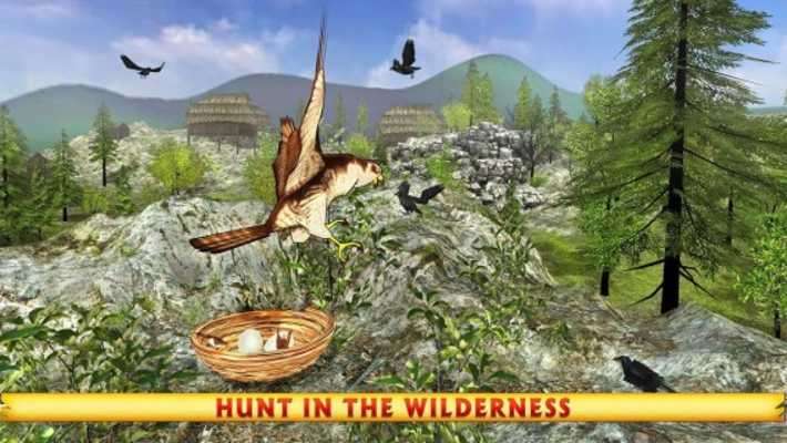 Play Wild Falcon Simulator 3D 