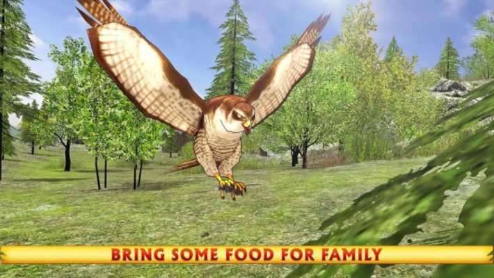 Play Wild Falcon Simulator 3D 