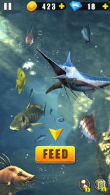 Play Wild Fishing Play Wild Fishing
