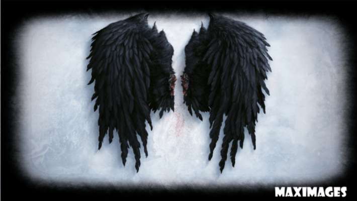 Play Wings Wallpaper 