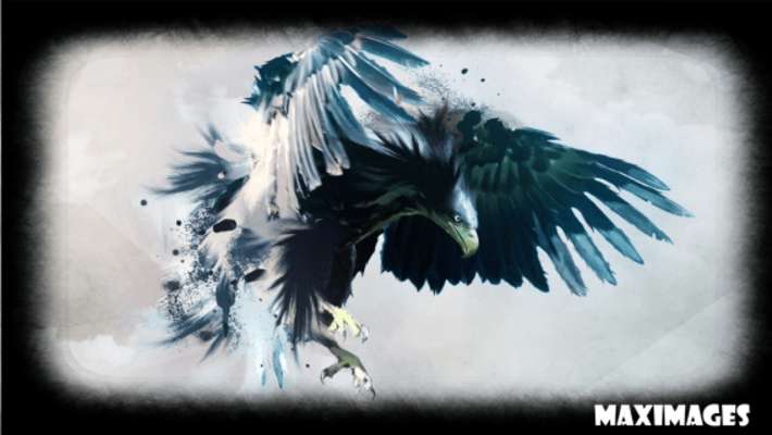Play Wings Wallpaper 