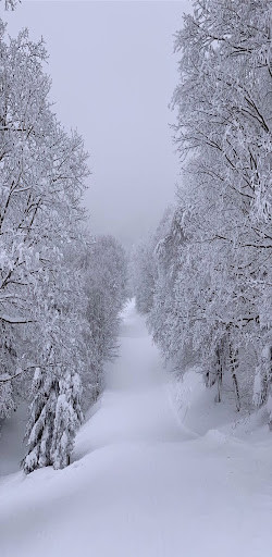 Play Winter HD Wallpapers 