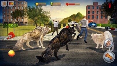 Play Wolf Pack Attack 2016 