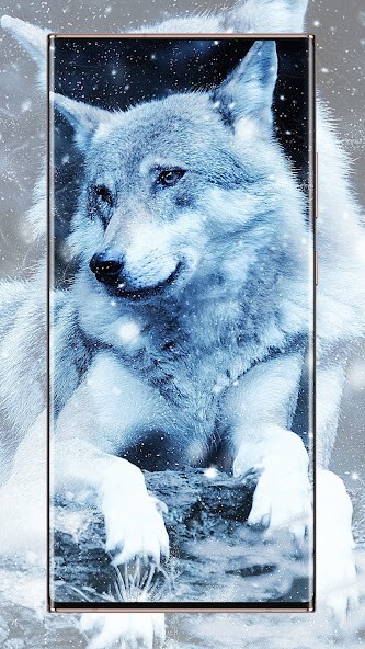 Play APK Wolf wallpapers  and enjoy Wolf wallpapers with UptoPlay com.bhansoft.kurtduvarkagidi