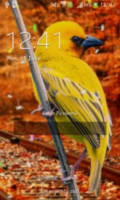 Play 3D Birds Live Wallpaper for S5 