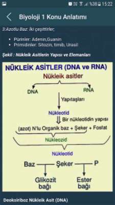 Play Açık Öğretim Lisesi 