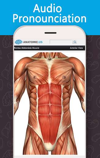 Play APK Anatomy Game Anatomicus Lite  and enjoy Anatomy Game Anatomicus Lite with UptoPlay air.Anatomicus.AnatomyGame.Lite