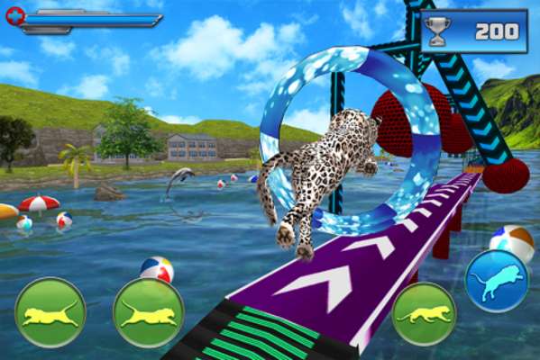 Play Animal Stunts in Water Park 