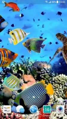 Play Aquarium Fish Live Wallpaper 2019 Play Aquarium Fish Live Wallpaper 2019