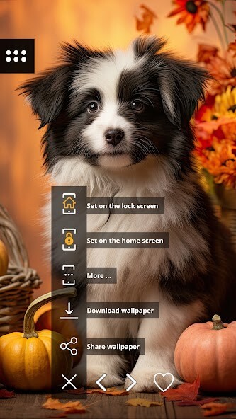 Play APK Autumn Wallpapers  and enjoy Autumn Wallpapers with UptoPlay com.mamosoft.sonbaharwallpaper