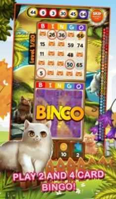 Play Bingo Pets Mania: Cat Craze 