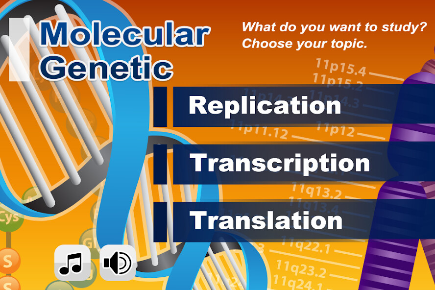Play APK Biology Molecular Genetics  and enjoy Biology Molecular Genetics with UptoPlay com.firstclassstanding.molecular_genetics