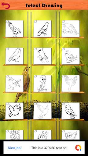 Play bird coloring book 