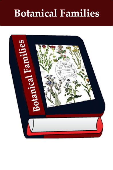 Play Botanical families 