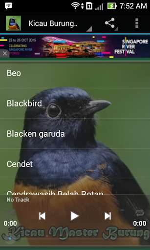 Play APK Canto De Passaros Mais Bonitos  and enjoy Canto De Passaros Mais Bonitos with UptoPlay 
