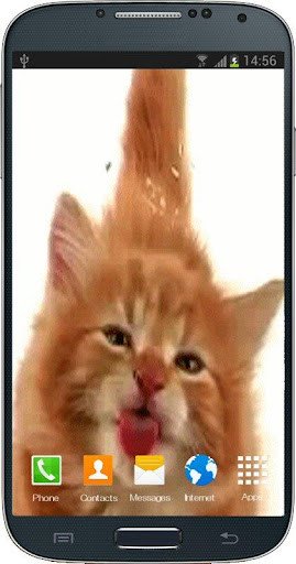Play APK Cat Licking Screen  and enjoy Cat Licking Screen with UptoPlay com.veintidos.cat_licking_screen_live_wallpaper