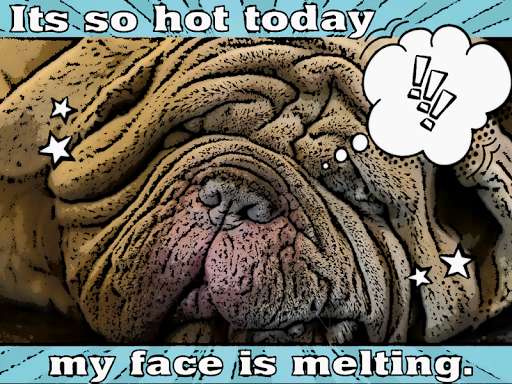 Play APK Comic Meme Maker - funny meme generator  and enjoy Comic Meme Maker - funny meme generator with UptoPlay com.cmc.meme.mkr